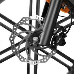 Rattan Quercus 750W Fat Tire Ebike