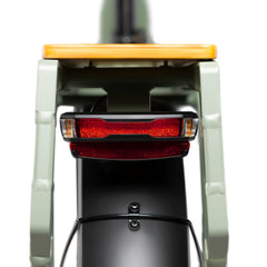 Rattan Quercus 750W Fat Tire Ebike