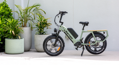 Rattan Quercus 750W Fat Tire Ebike
