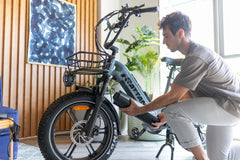 Rattan Quercus 750W Fat Tire Ebike