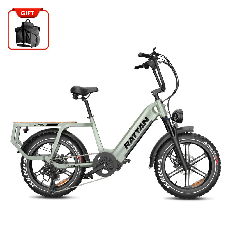 Rattan Quercus 750W Fat Tire Ebike