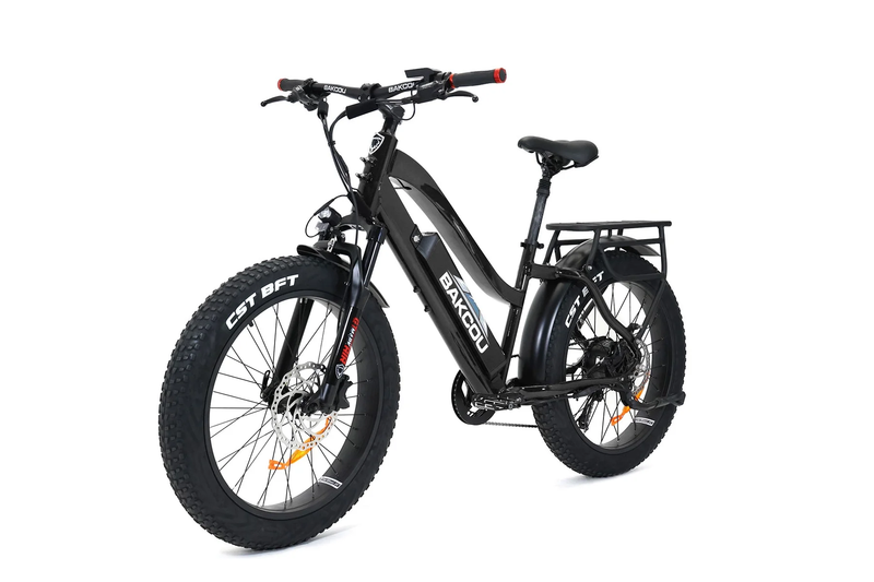 Bakcou ST Flatlander 24 Step-Through 750W Electric Bike