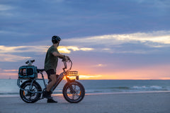 Rattan Quercus 750W Fat Tire Ebike