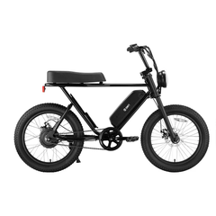 SWFT Z.X Compact All-Terrains Bike