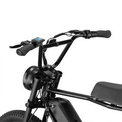 SWFT Z.X Compact All-Terrains Bike