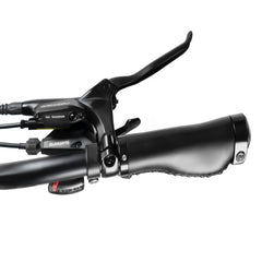 Rattan Quercus 750W Fat Tire Ebike