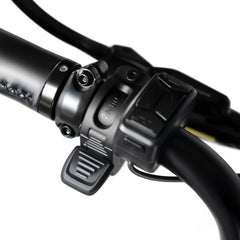 Rattan Quercus 750W Fat Tire Ebike