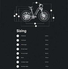 Rattan Sequoia 750W Fat Tire Electric Bike