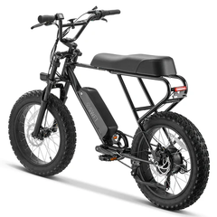 SWFT ZIP All-Terrain Fat Tire Electric Bike