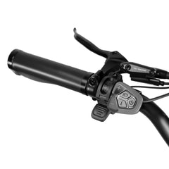 Rattan Sequoia 750W Fat Tire Electric Bike