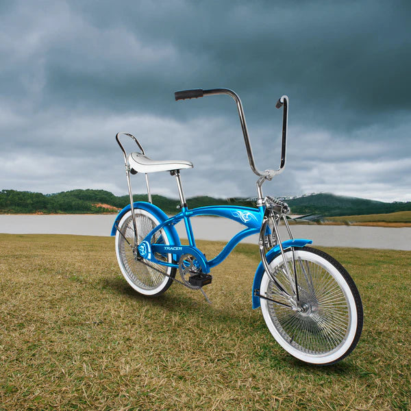 electric bicycles sale Foldable Step Through Ebike For Sale