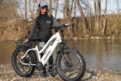 Bakcou Flatlander 750W Electric Bike