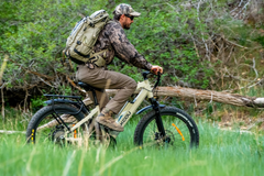 Bakcou Flatlander 750W Electric Bike