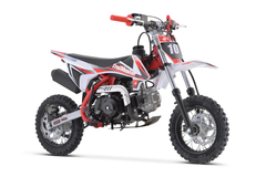 TRAILMASTER TM10-110 (10,10,Semi) DIRT BIKES