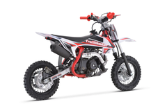 TRAILMASTER TM10-110 (10,10,Semi) DIRT BIKES