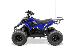 TrailMaster Mini 110 Sport (6") T110 Electric start ATVs Kids 4-Wheeler
