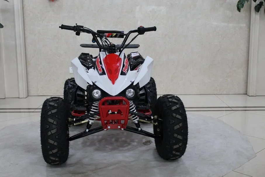 TrailMaster Mid 125R Sport (8 TrailMaster Mid 125R Sport (8