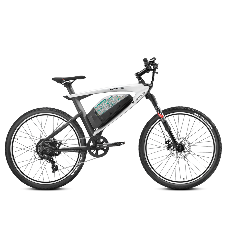 Eahora APUS 750W Electric Bike