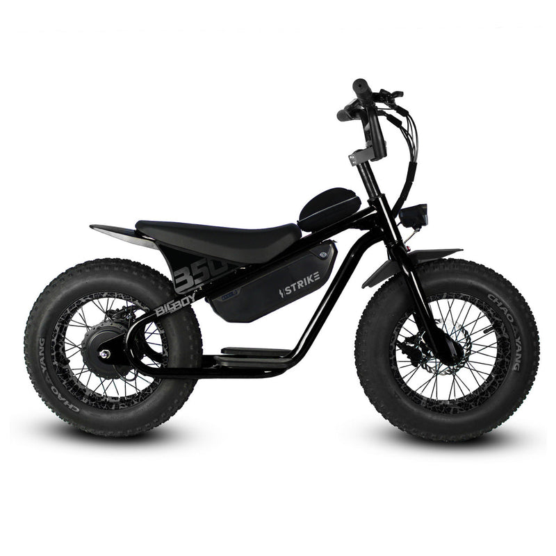 Strike Cycles Big Boy 750W Heavy-Duty All-Terrain Fat Tire Electric Balance Bicycle