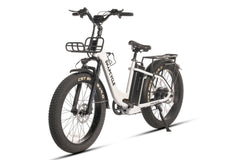 Snapcycle Pegasus E-Bike