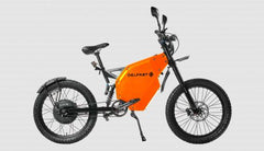 Delfast Top 3.0i Electric Bike