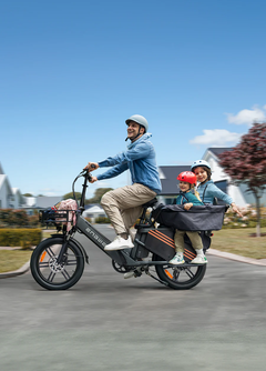 ENGWE LE20 1300W Step-Thru Cargo Peak Torque sensor Ebike