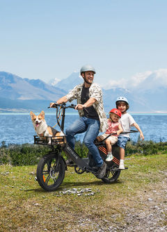 ENGWE LE20 1300W Step-Thru Cargo Peak Torque sensor Ebike