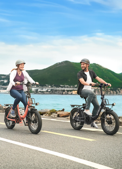 ENGWE L20 2.0 – Step-Thru E-Bike, 750W Motor