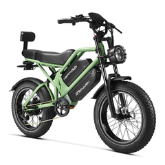 HappyRun G70 2000W 48V 38Ah Dual Battery Electric Cargo Bike