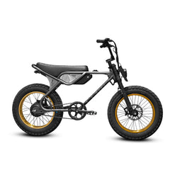 Strike Cycles SPYDER 750 Electric Bicycle