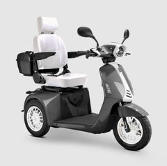 Bespoke Elite Scooter 48 Volts 600 Watts