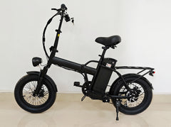 Sunny ride 48v15ah Folding Electric Bike