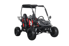 X-PRO Rover Go Kart 110cc (Automatic with Reverse, Big 16" Wheels, LED Headlights)