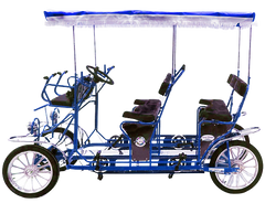 Surrey Limousine Deluxe Quadricycle
