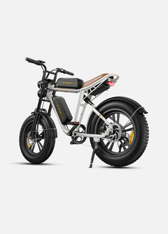 ENGWE M20 1000W Peak, Dual Suspension, 94 Mile E-Bike