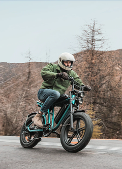 ENGWE M20 1000W Peak, Dual Suspension, 94 Mile E-Bike