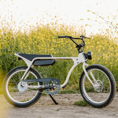 Electric Bike Company MODEL J Army Green Electric Bike 750W