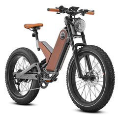 Eahora  750 W Electric Bike P5 To Be Special