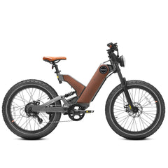 Eahora  750 W Electric Bike P5 To Be Special