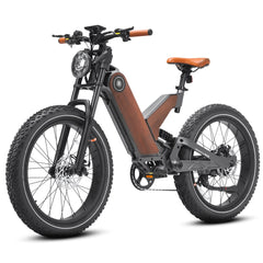 Eahora  750 W Electric Bike P5 To Be Special