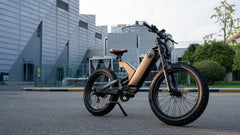 Eahora  750 W Electric Bike P5 To Be Special