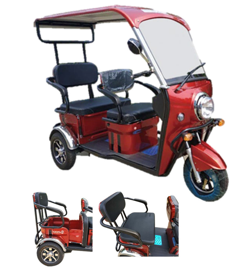 Pushpak 5000 800W 2-Person Electric Trike