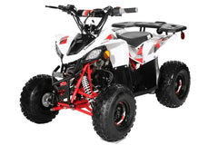 TrailMaster R110 Kids Gas 110cc 4 stroke ATV