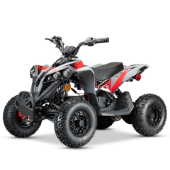 RP 1200W ELECTRIC ATVS