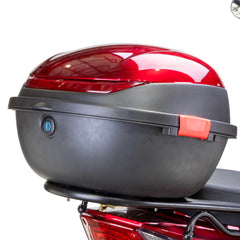 Bespoke Regal 3 Wheel Scooter [PREORDER]