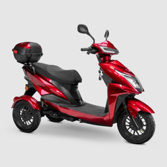 Bespoke Regal 3 Wheel Scooter [PREORDER]