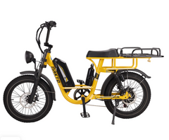 Nakto F4 20" Electric Cargo Bicycle