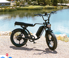 Nakto F2 20" Fat Tire Cargo Electric Bicycle