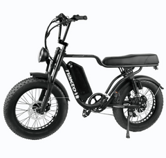 Nakto F2 20" Fat Tire Cargo Electric Bicycle