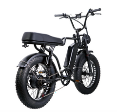 Nakto F2 20" Fat Tire Cargo Electric Bicycle